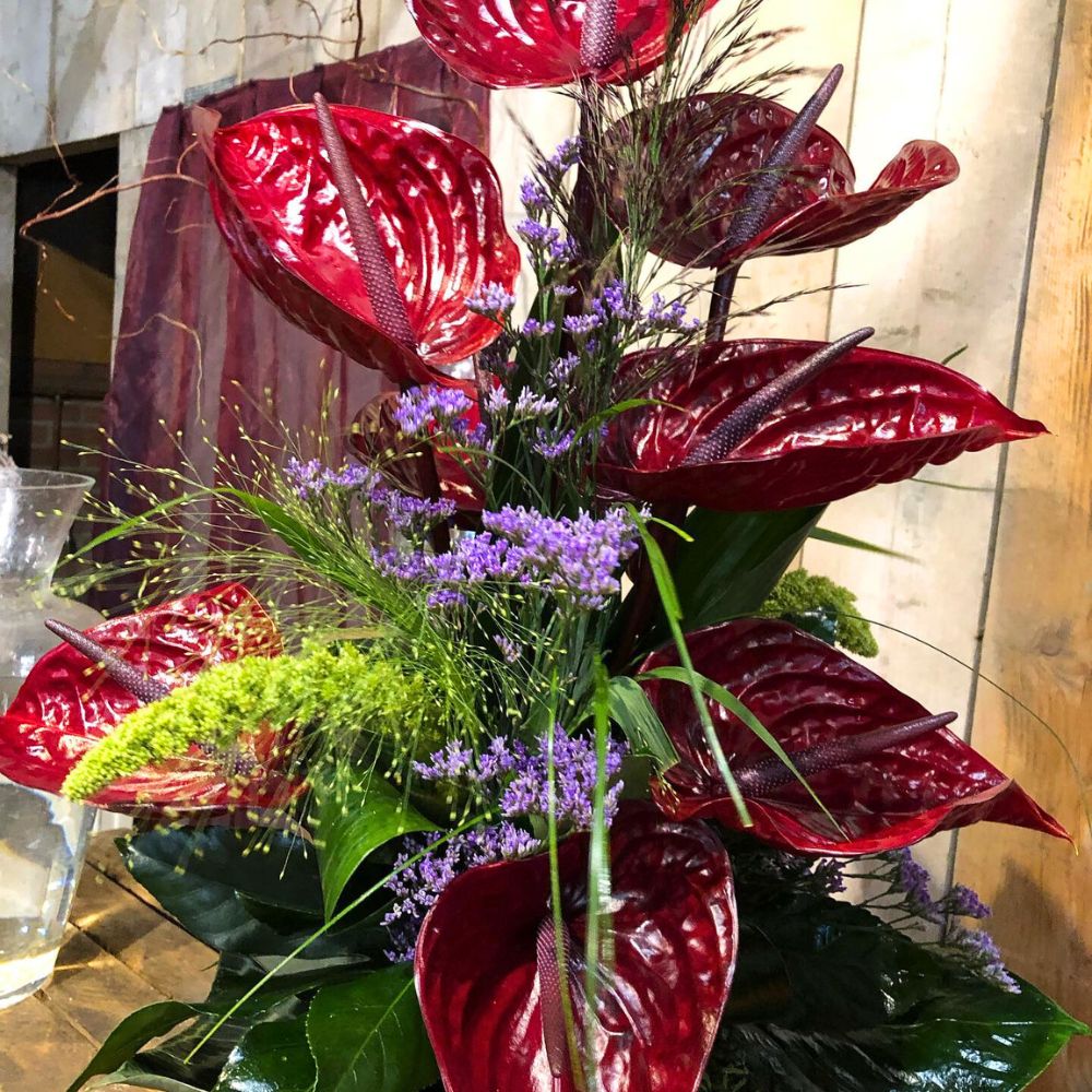 Anthurium Nero in a mixed vase Anthurium Nero
