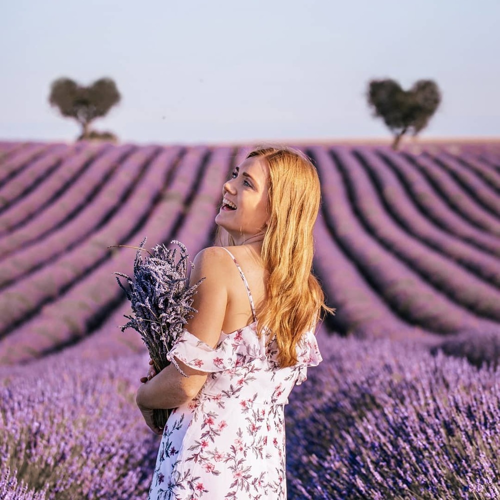 A beautiful Lady visting Valensole Plateau
