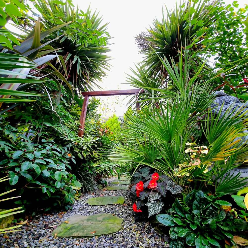 A beautifull Exotic Gardens