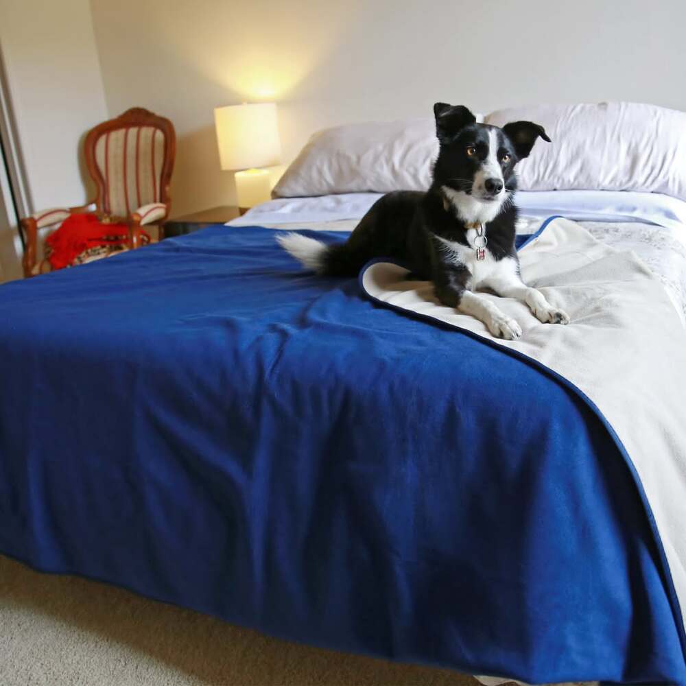 Sweet dog on Waterproof balnket Sweet dog on Waterproof balnket