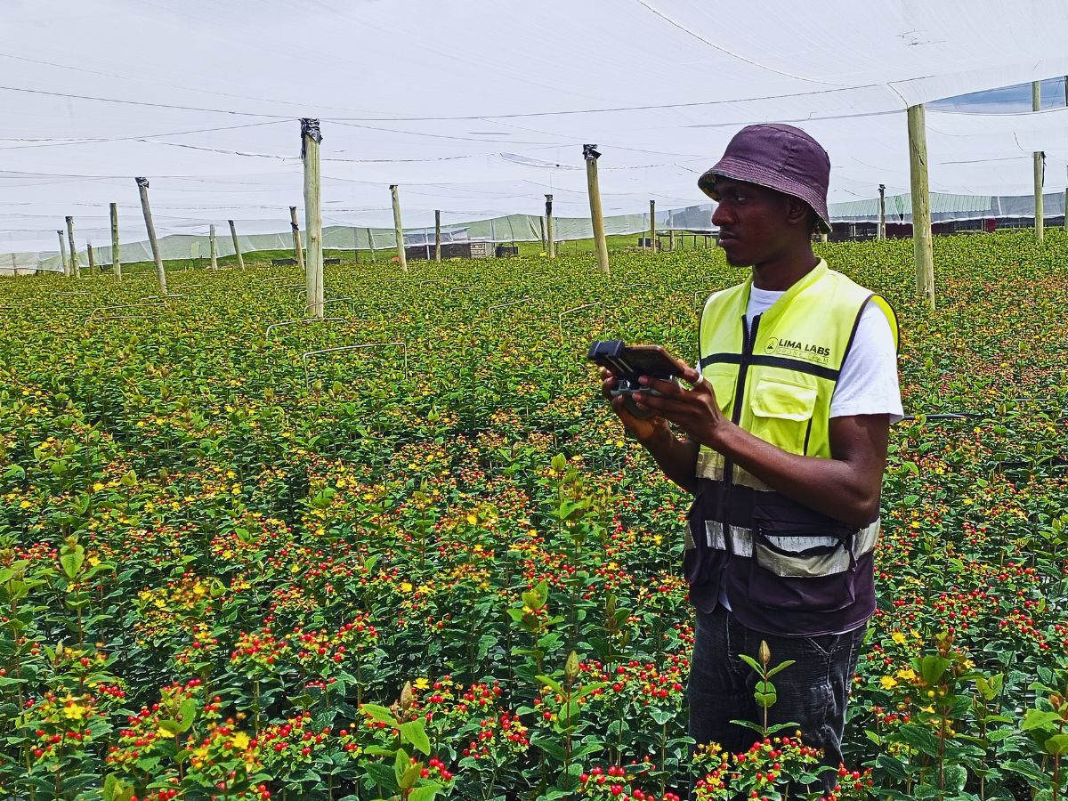 Lima Labs' drone technology Lima Labs and Chrysal Revolutionizing Flower Cultivation Using Technology