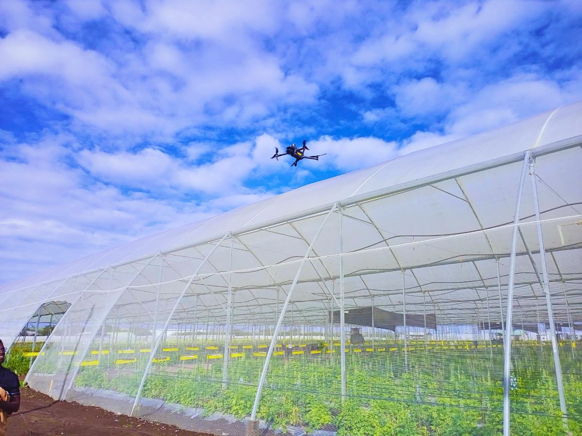 Lima Labs and Chrysal Revolutionizing Flower Cultivation Using Technology