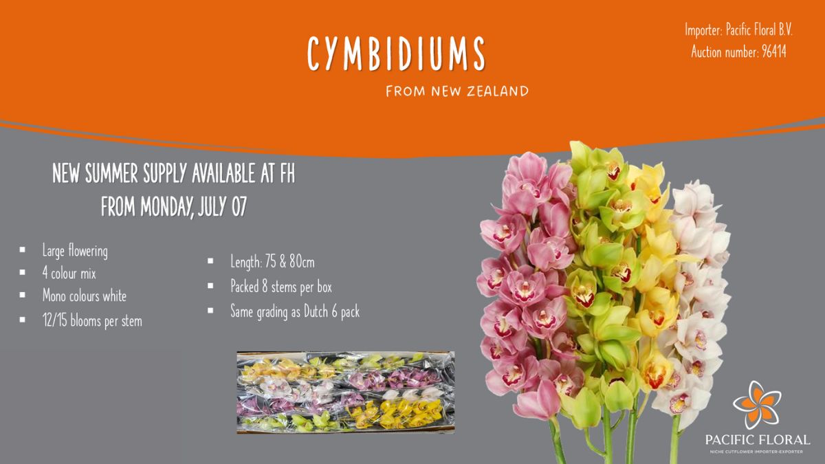 Cymbidiums by Pacific Floral
