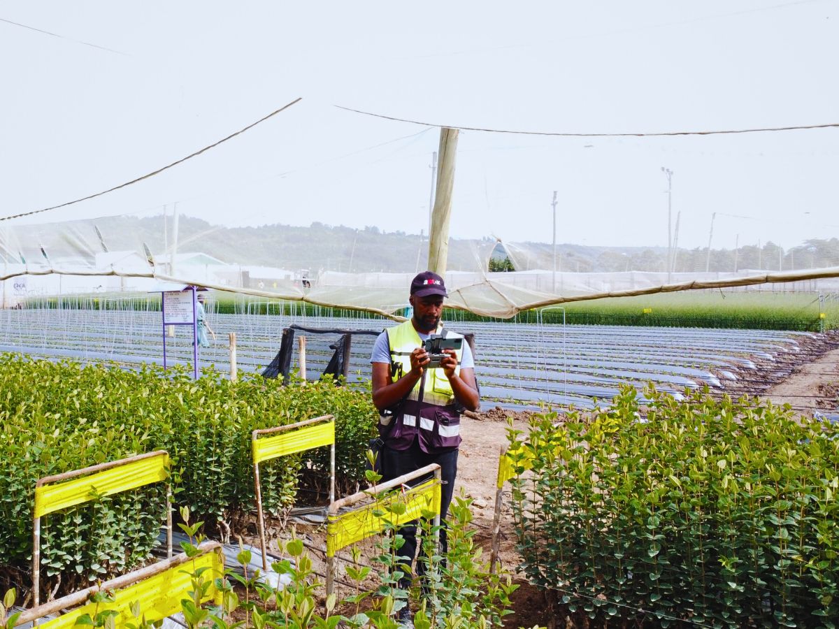 Lima Labs and Chrysal Revolutionizing Flower Cultivation Using Technology