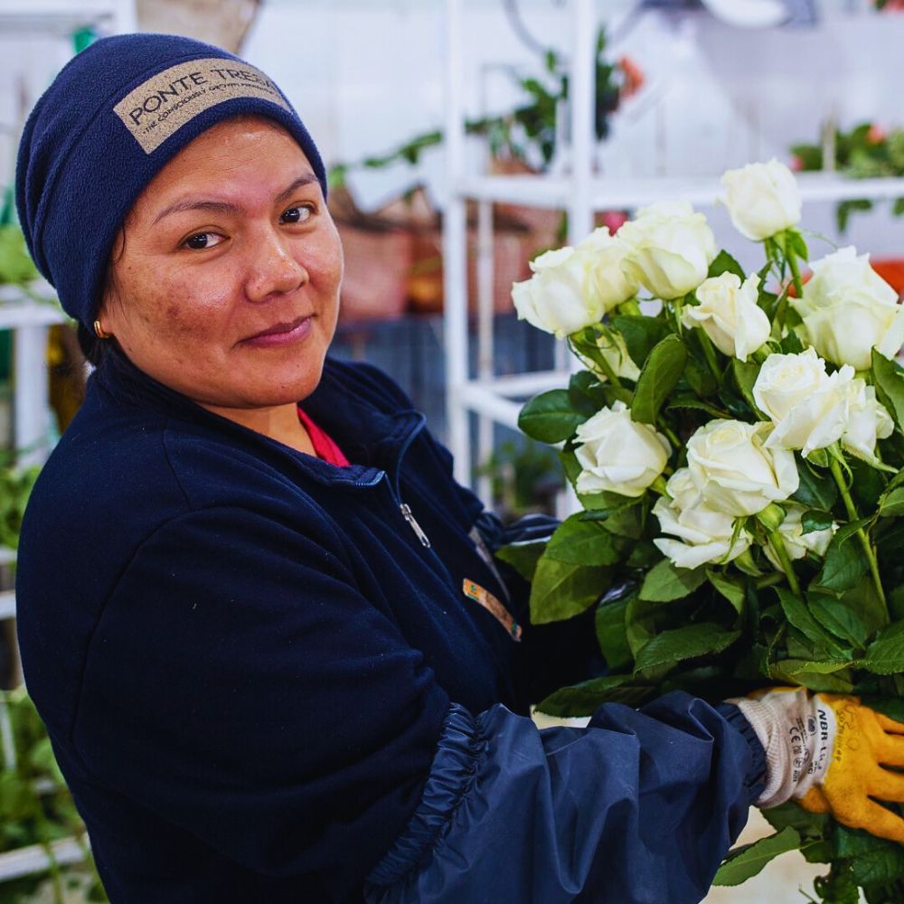 Ponte Tresa Roses Fairtrade Flowers and What Makes Them Tick All the Right Boxes