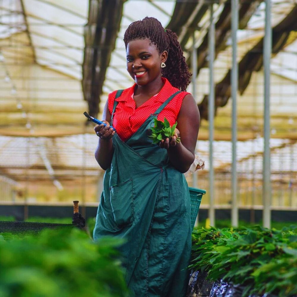 Wagagai Ltd Fairtrade Flowers and What Makes Them Tick All the Right Boxes