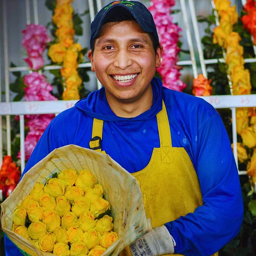 Roses Fairtrade Flowers and What Makes Them Tick All the Right Boxes