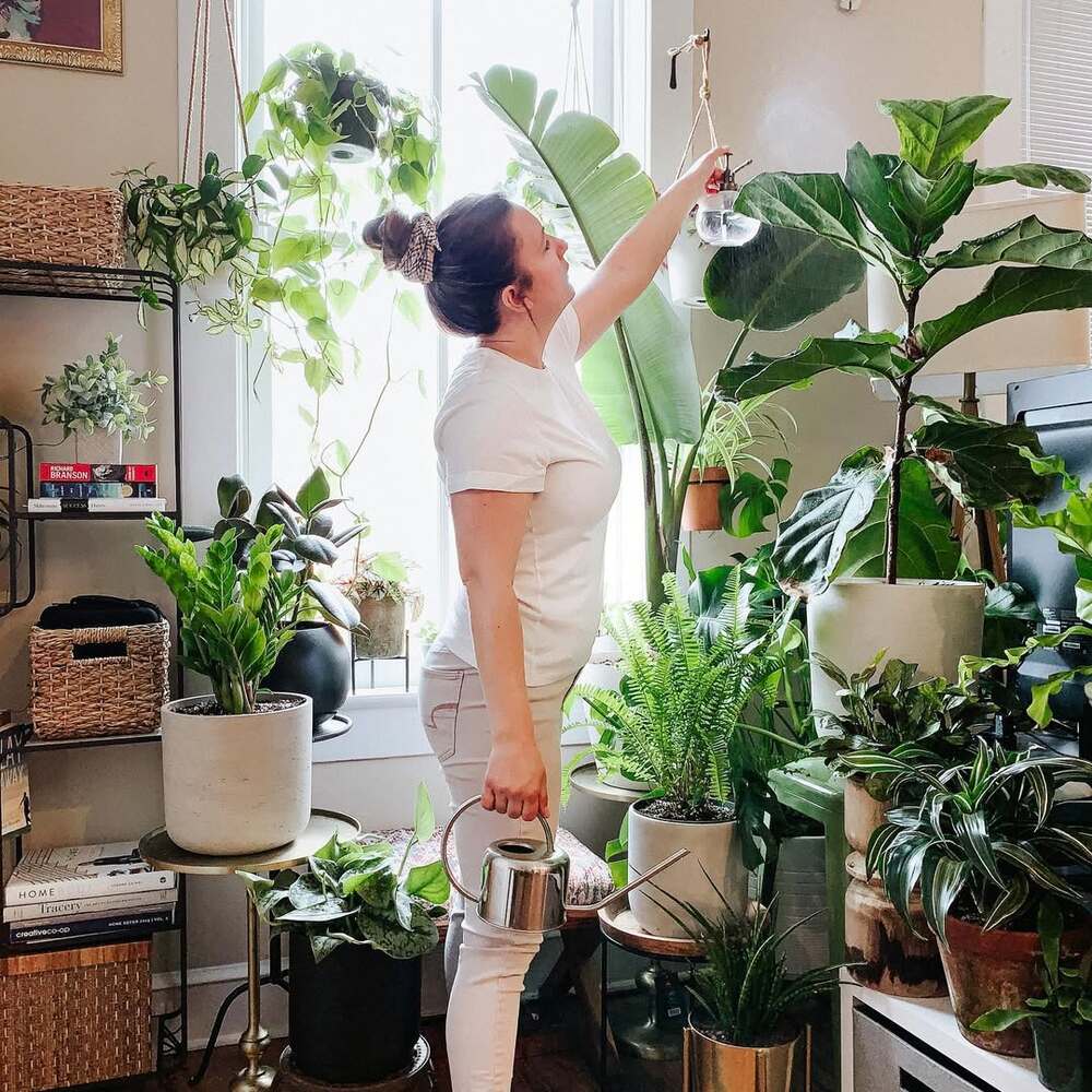 Woman caring for indoor plants during summer Woman caring for indoor plants during summer