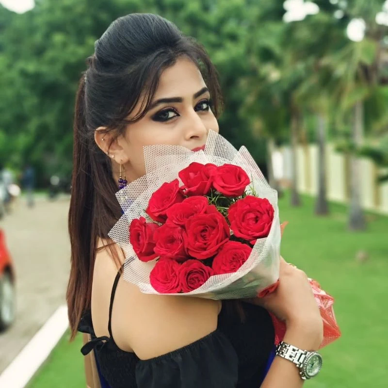 Year long rose feature image