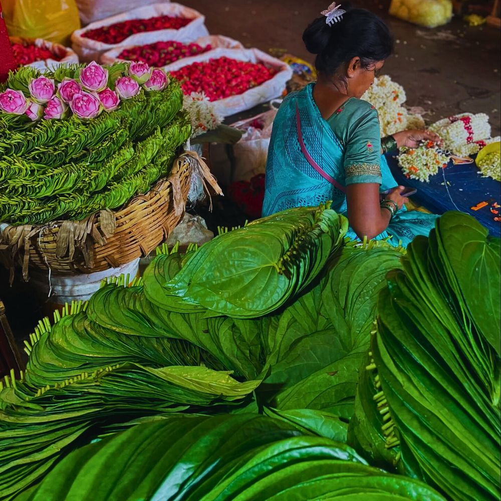 Indian flower market Bombay High Court Challenges an Affidavit on Plastic Flowers