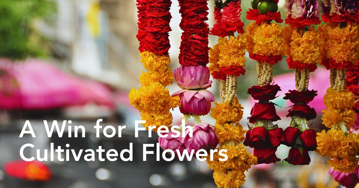The Bombay High Court Questions Why Plastic Flowers Are Not Included in the List of Banned Single-Use Plastic Items
