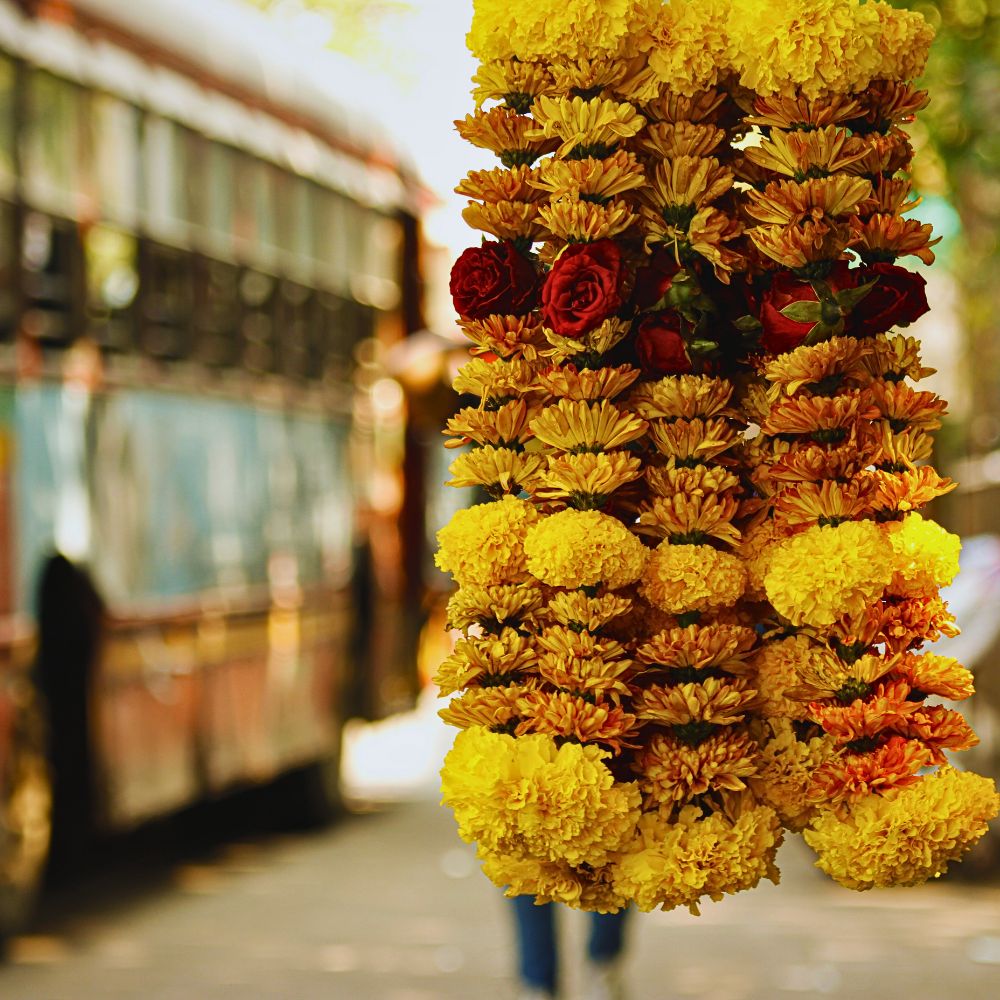 Floral garlands The Bombay High Court Questions Why Plastic Flowers Are Not Included in the List of Banned Single-Use Plastic Items