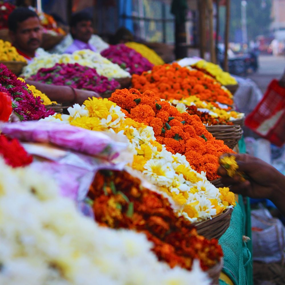 Flowers for sale The Bombay High Court Questions Why Plastic Flowers Are Not Included in the List of Banned Single-Use Plastic Items