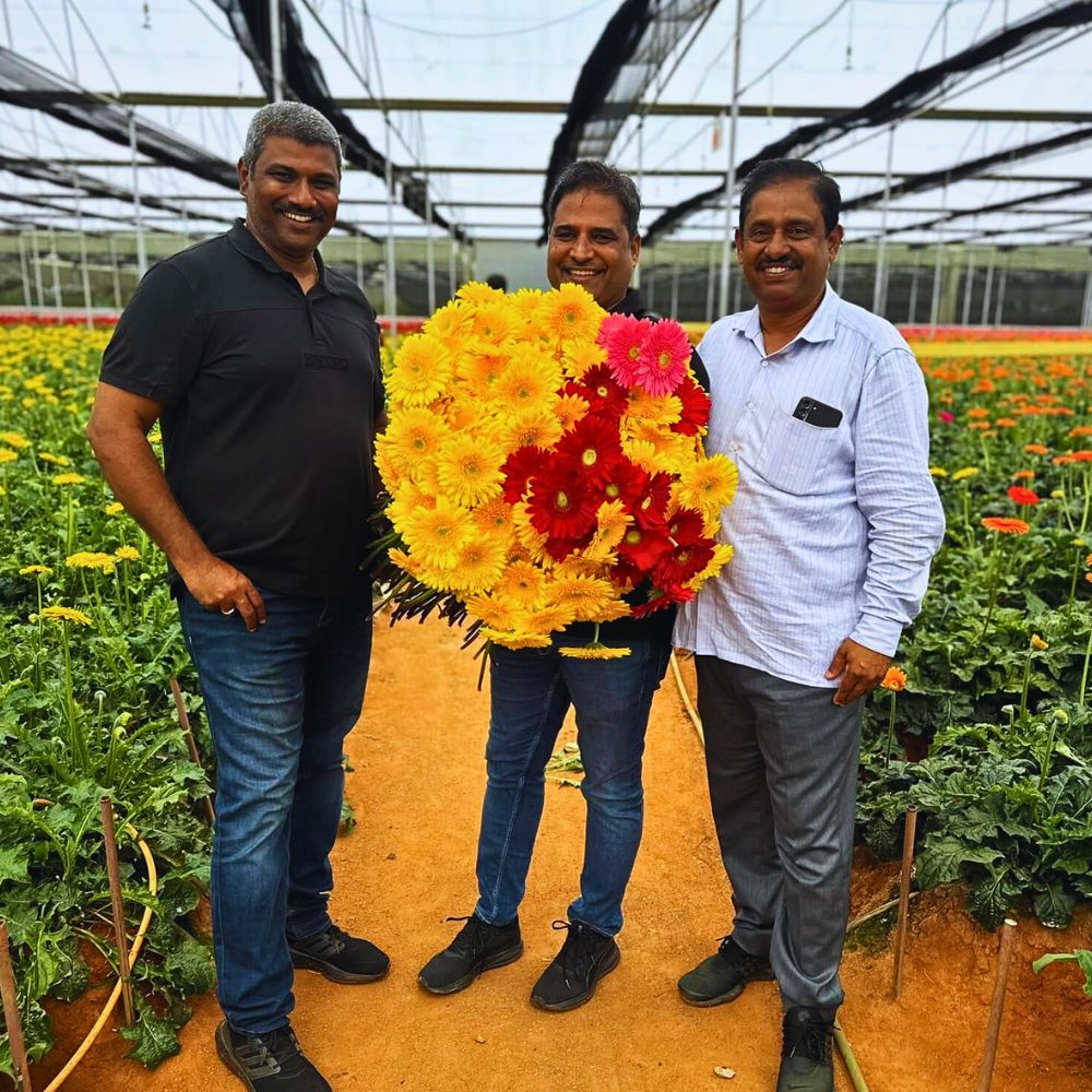 Flower cultivation in India The Bombay High Court Questions Why Plastic Flowers Are Not Included in the List of Banned Single-Use Plastic Items