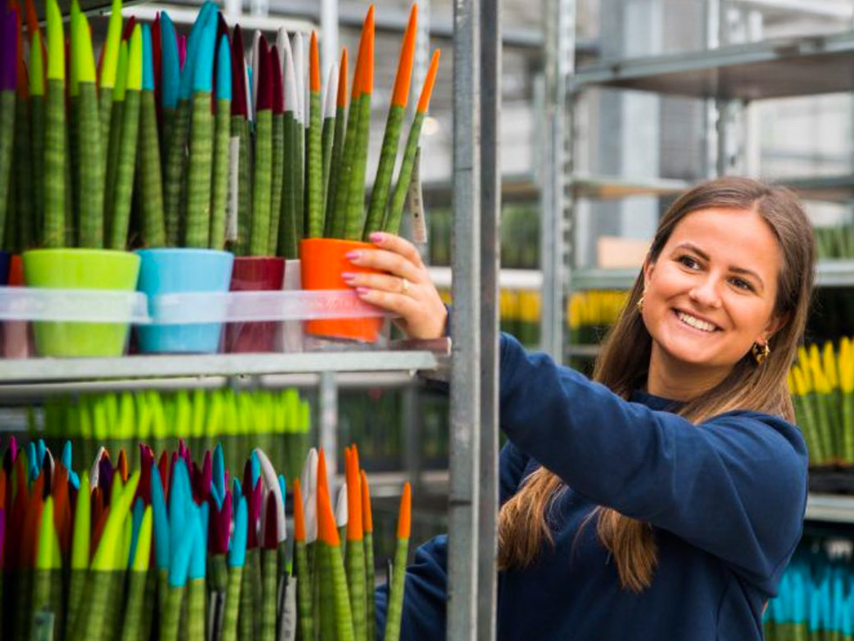Make Upz cosmetics for plants girl with sansevieria Make Upz cosmetics for plants girl with sansevieria