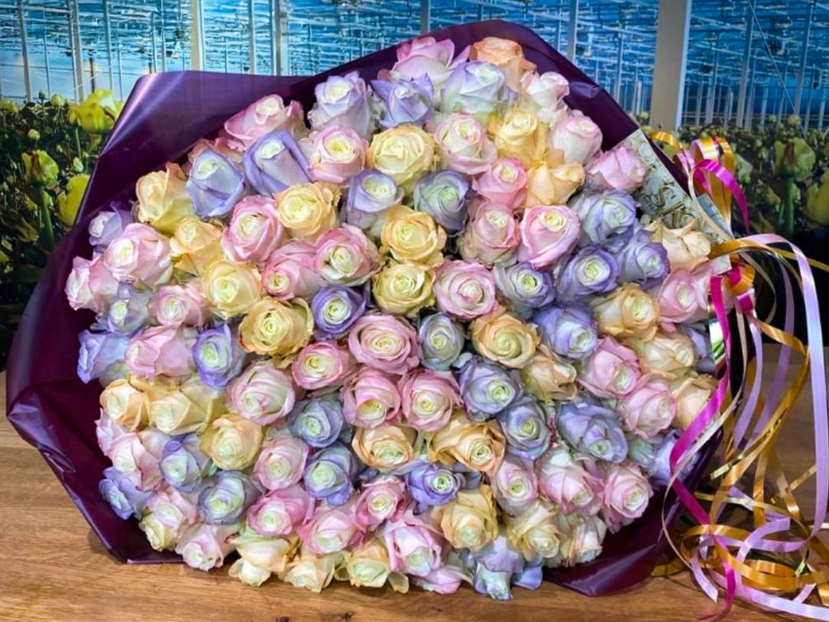 Make Upz cosmetics for plants rose mix bunch Make Upz cosmetics for plants rose mix bunch