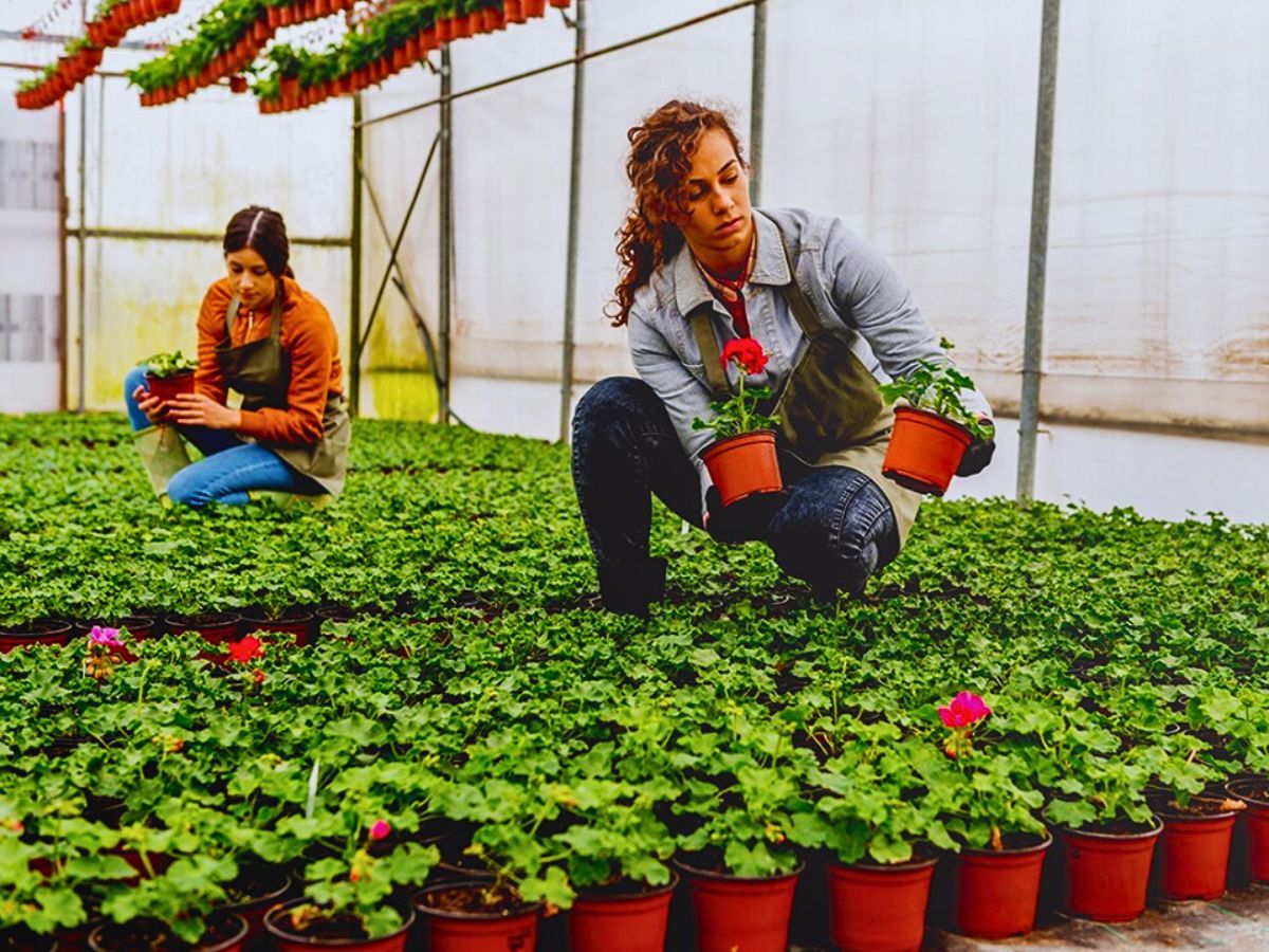 The 77th AIPH Annual Congress in Ghent Charts a Sustainable Future for the Horticulture Industry.