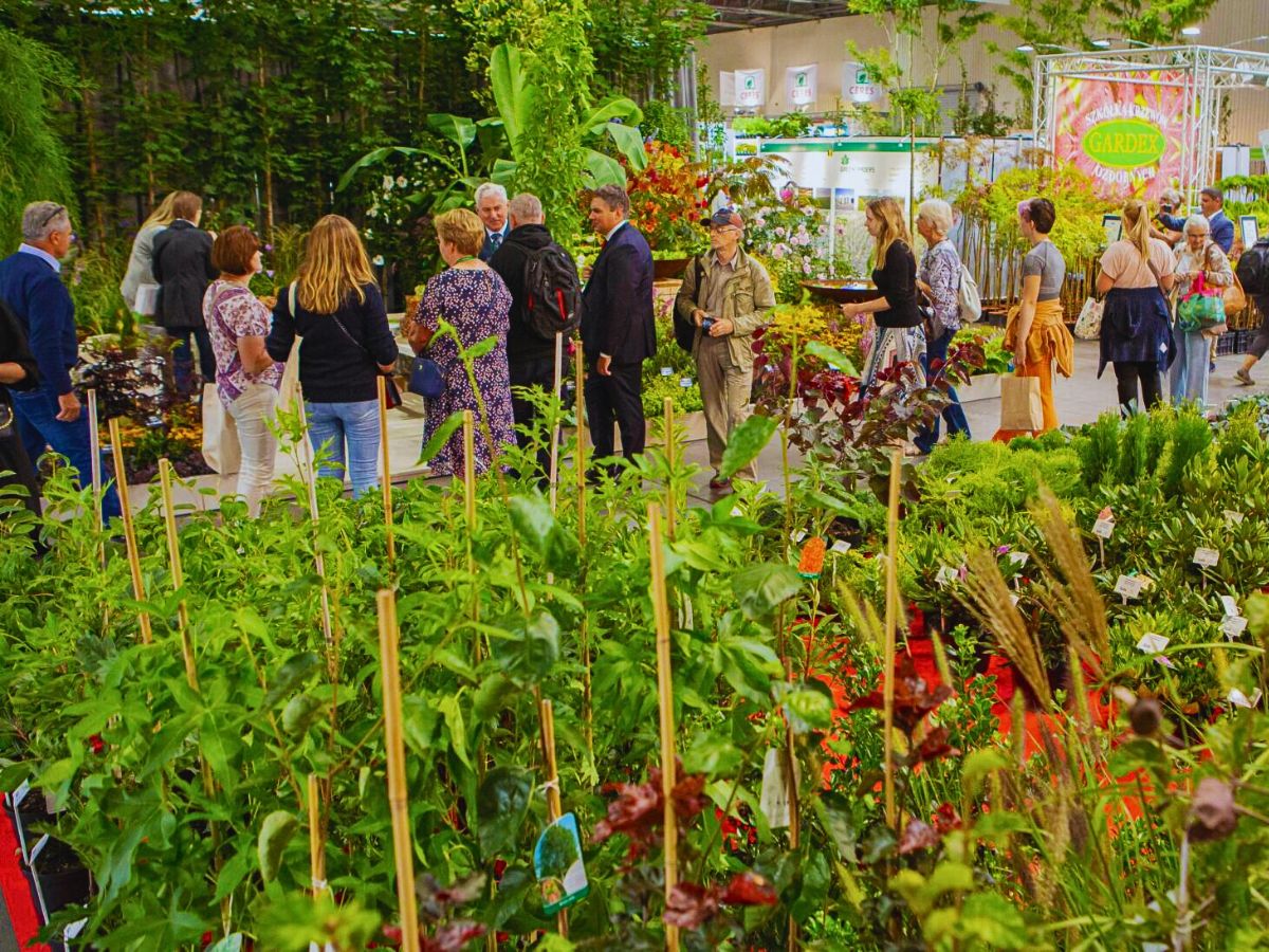 Visitor tours The 77th AIPH Annual Congress in Ghent Charts a Sustainable Future for the Horticulture Industry.