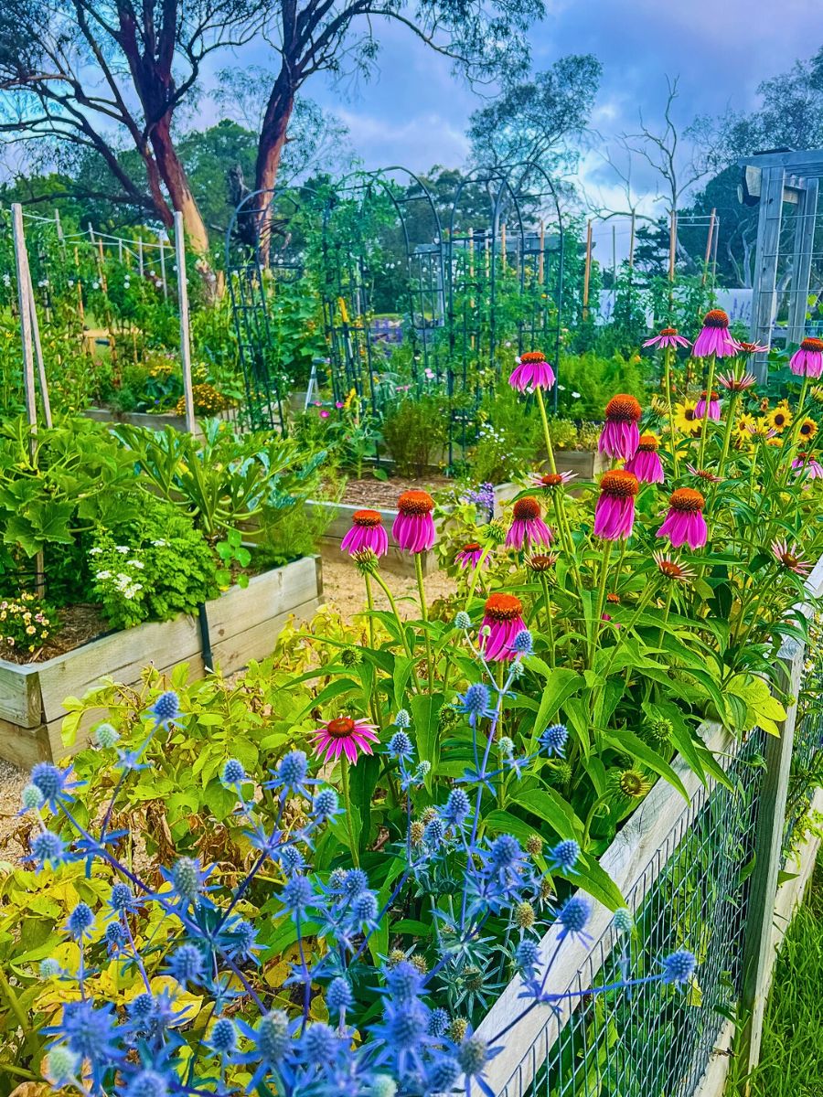 Flower garden Urban and Small-Scale Floriculture Hold Incentives for Overall Sustainability Goals