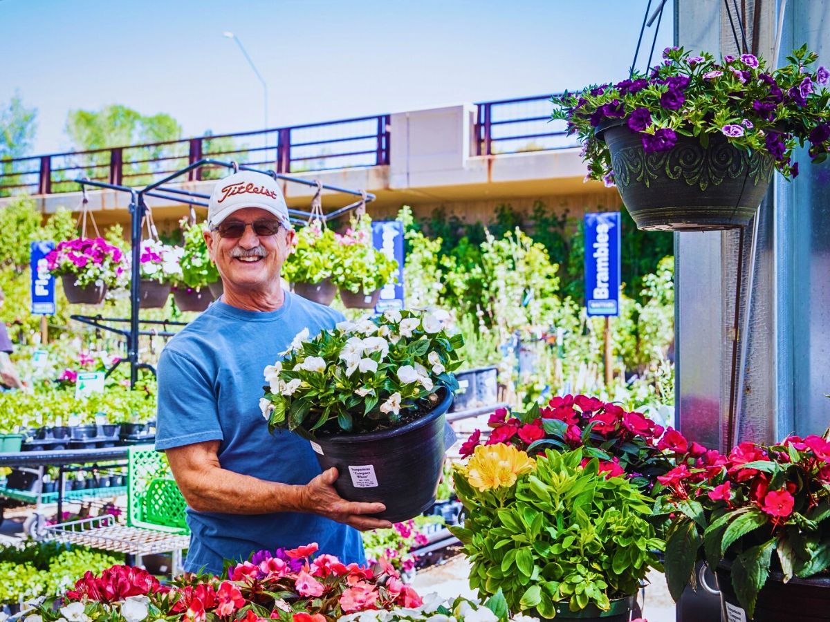 Plants and flowers Urban and Small-Scale Floriculture Hold Incentives for Overall Sustainability Goals