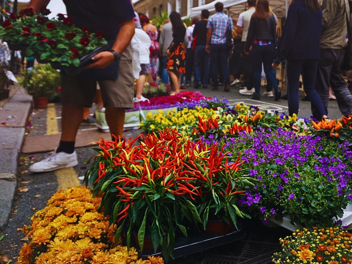 Flowers Urban and Small-Scale Floriculture Hold Incentives for Overall Sustainability Goals