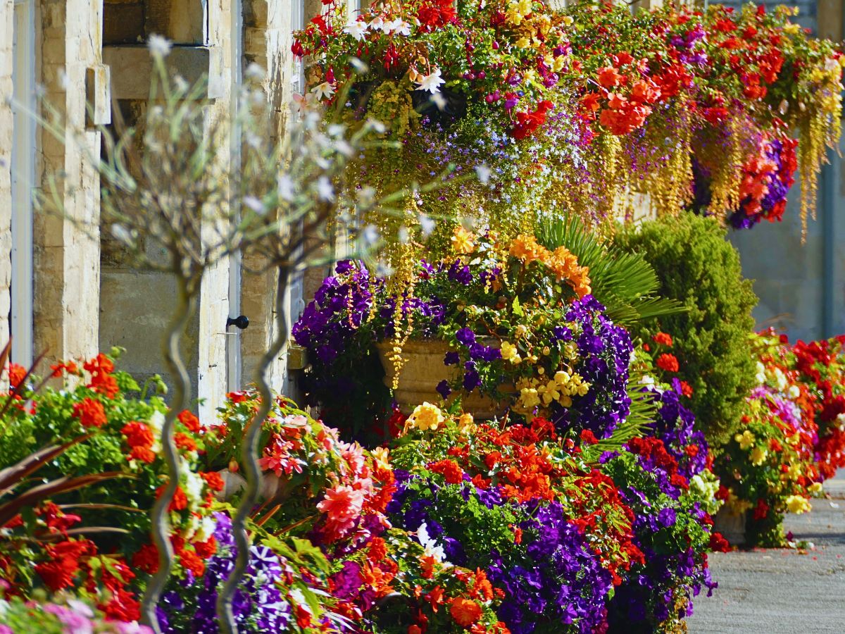 Urban gardening Urban and Small-Scale Floriculture Hold Incentives for Overall Sustainability Goals