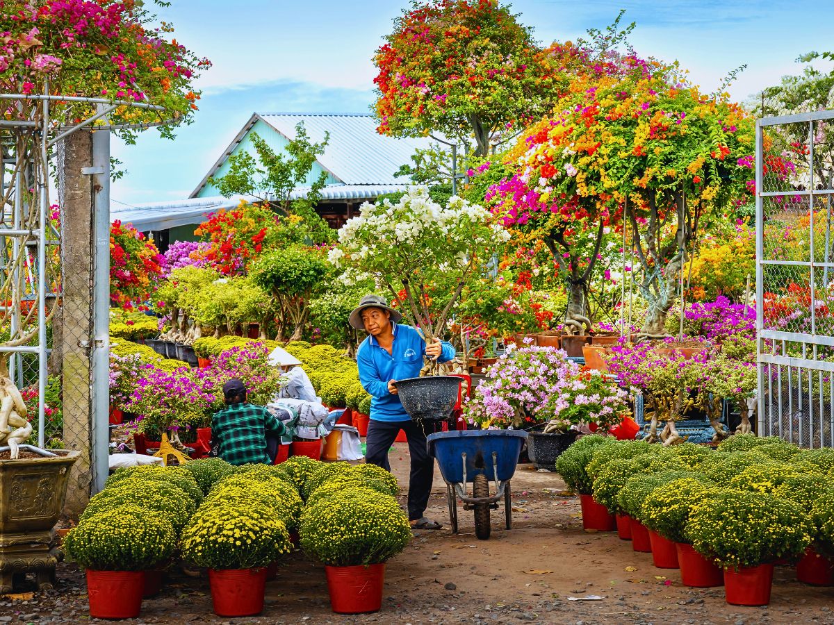 Flower garden Urban and Small-Scale Floriculture Hold Incentives for Overall Sustainability Goals