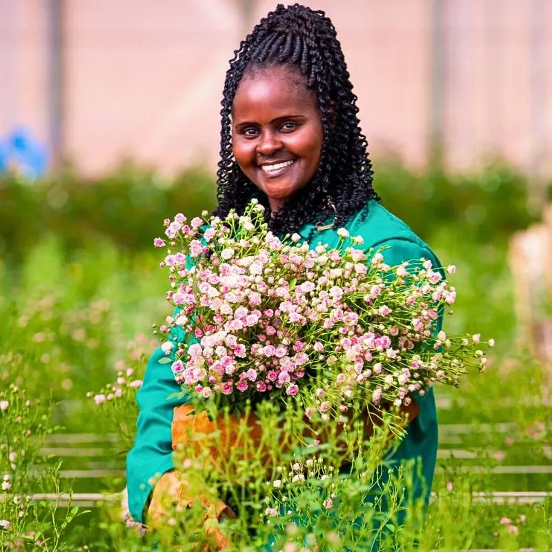 The Flower Hub Has Achieved a Certified B Corporation Status