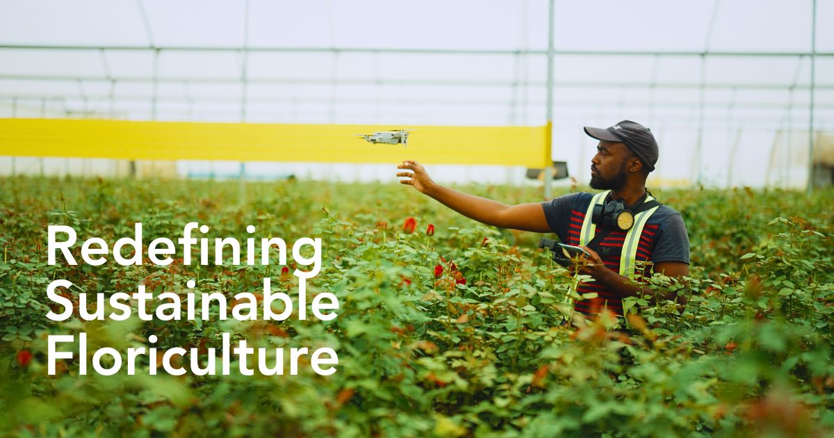 Lima Labs and Chrysal Revolutionizing Flower Cultivation Using Technology