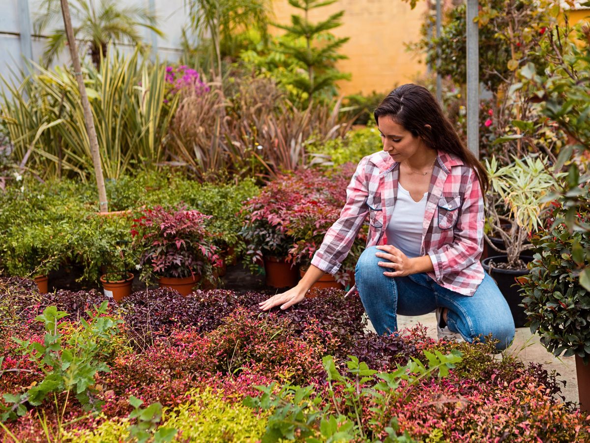 Flower gardening Urban and Small-Scale Floriculture Hold Incentives for Overall Sustainability Goals