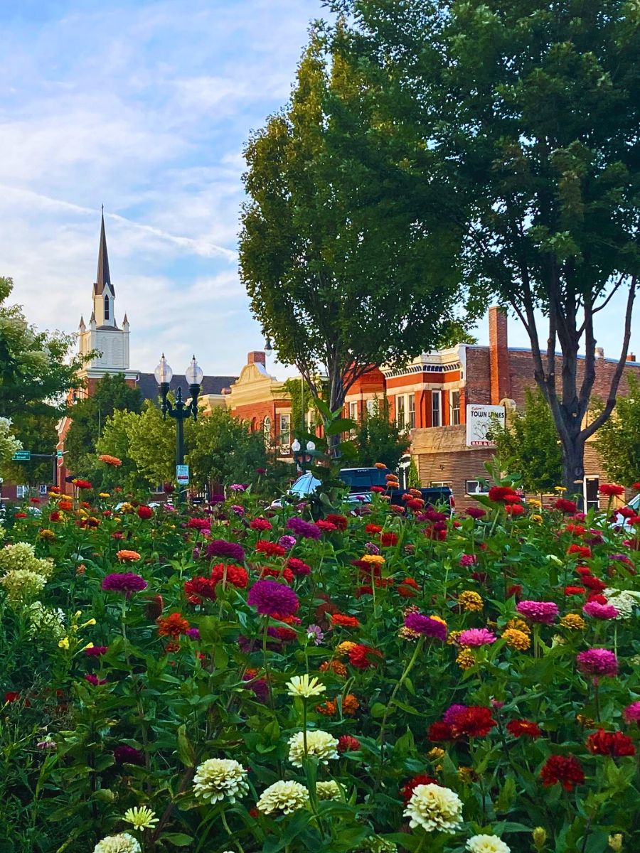 Urban flower garden How Urban and Small-Scale Floriculture Feed Into the Overall Sustainability Agenda