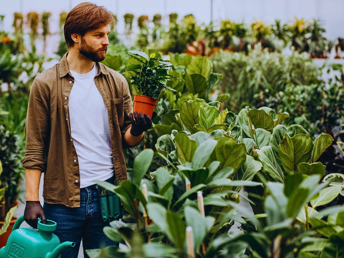 Pot plants How Urban and Small-Scale Floriculture Feed Into the Overall Sustainability Agenda