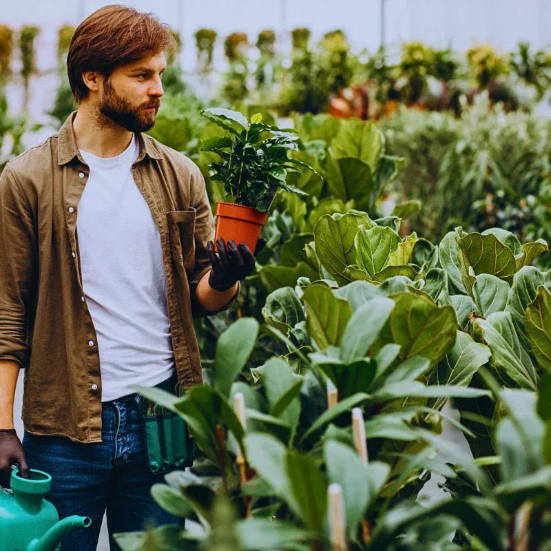 Urban and Small-Scale Floriculture Feed Into the Overall Sustainability Agenda
