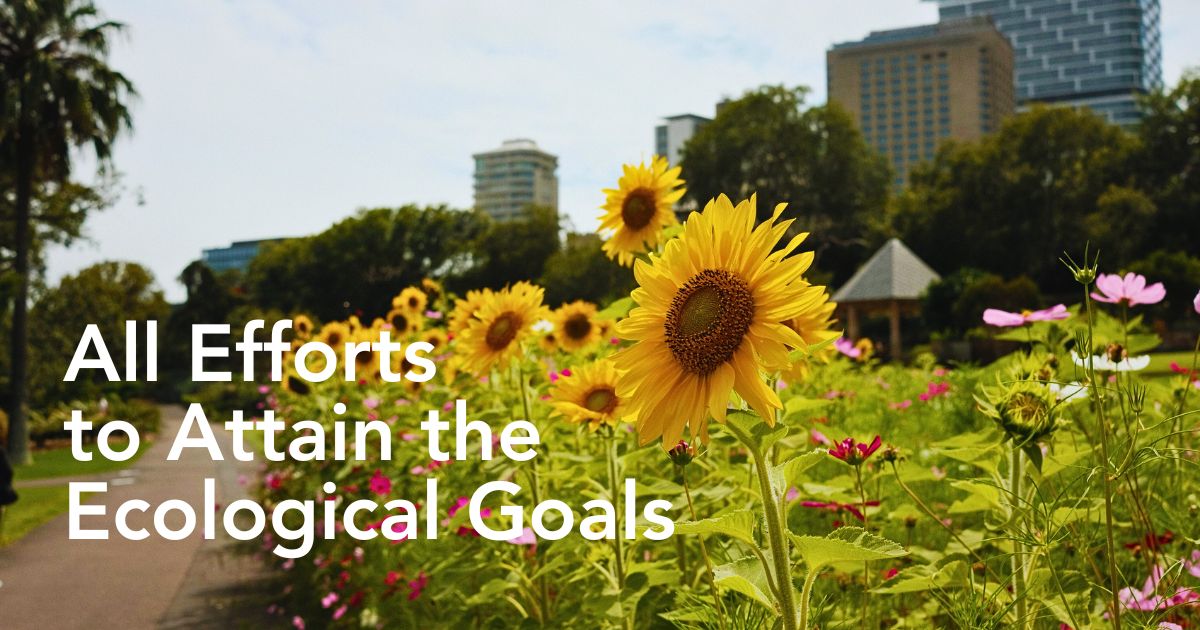 Urban and Small-Scale Floriculture Feed Into the Overall Sustainability Agenda