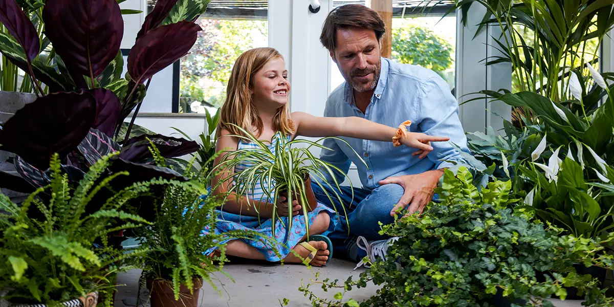 Father and kid with plants Father and kid with plants