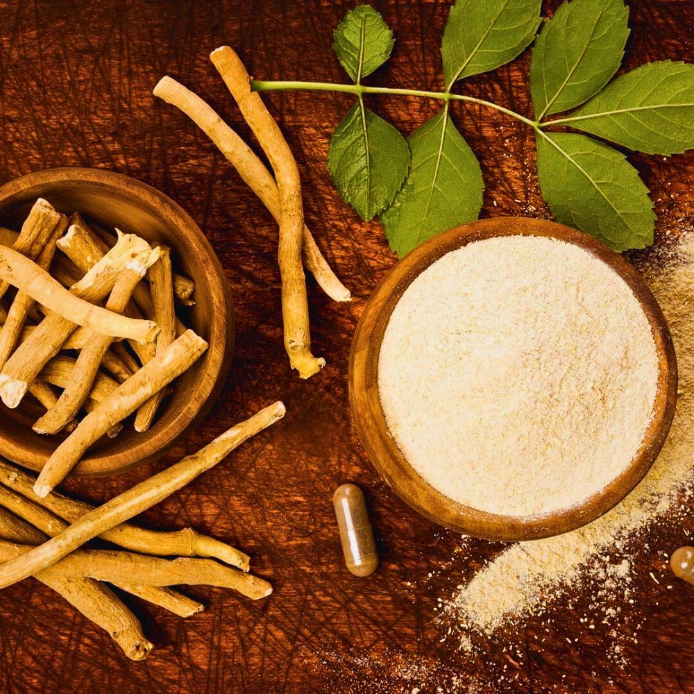 standardized ashwagandha root extract, also popularly known as Indian ginseng usage is well documented in Ayurvedic medicine