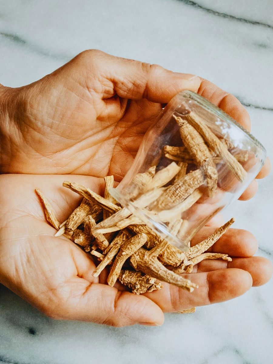 a popular herbal supplement in Ayurvedic medicine - Ashwagandha root aka Withania Somnifera