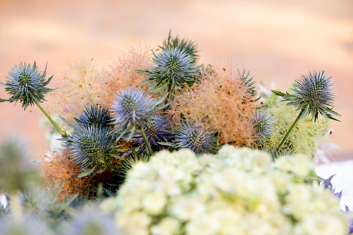 Krisztian Kover Summer table detail Eryngium Krisztian Kover Summer table detail Eryngium