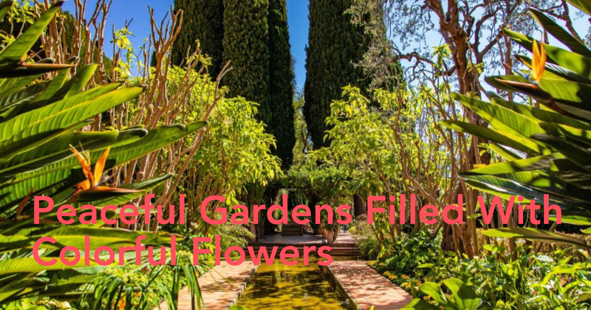 Spanish Garden Header Image