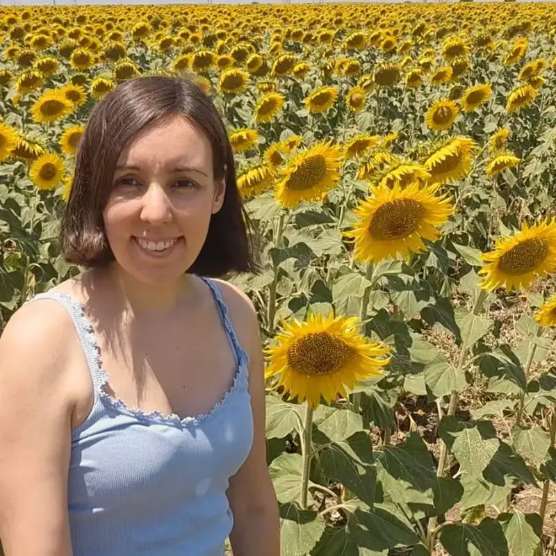Spanish garden feature image