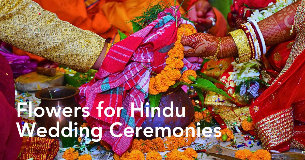 The Best 8 Indian Wedding Flowers for Your Big Day