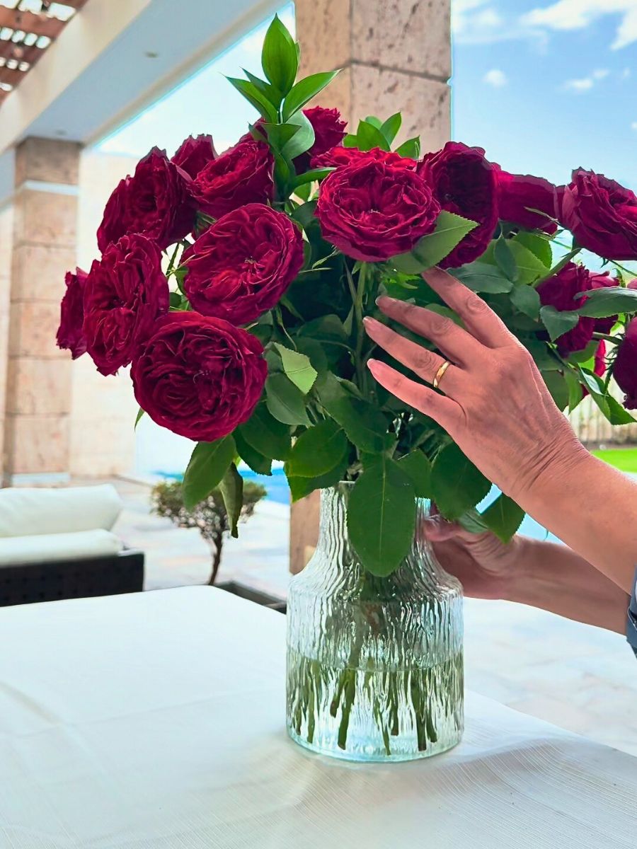 Roses Easy and Practical Tips to Distinguish Between Real and Faux Flowers