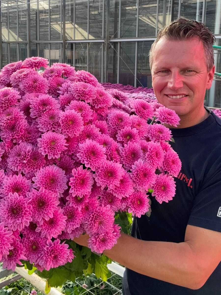 Peter van Delft with Chrysantemum Fabienne Peter van Delft with Chrysantemum Fabienne