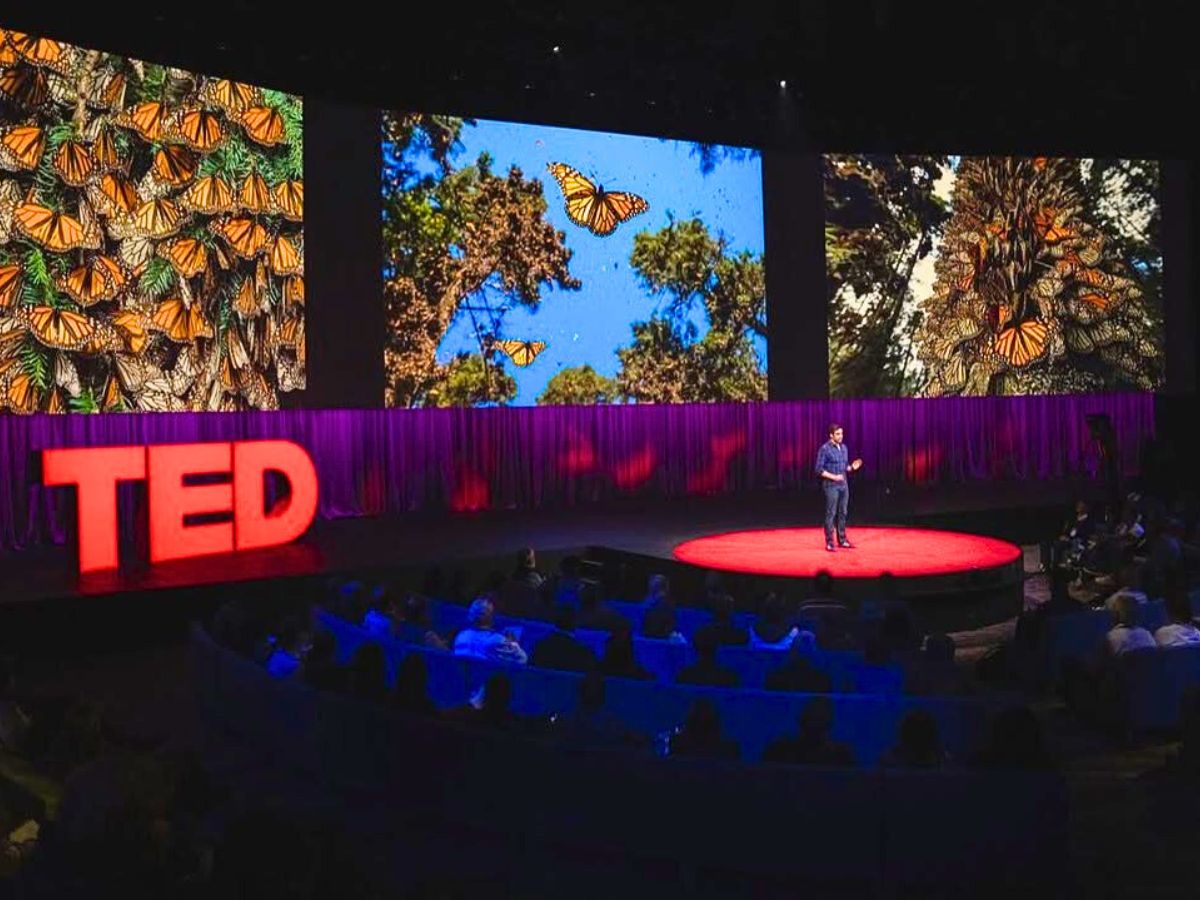 Jaime Rojo giving a TED talk about monarch butterflies Jaime Rojo giving a TED talk about monarch butterflies