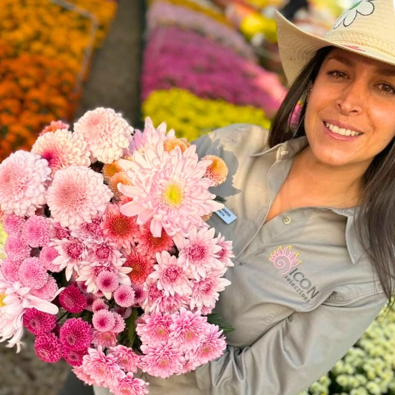 Chrysanthemum week