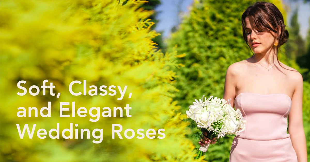Rose Nova Vita in bridal bouquet