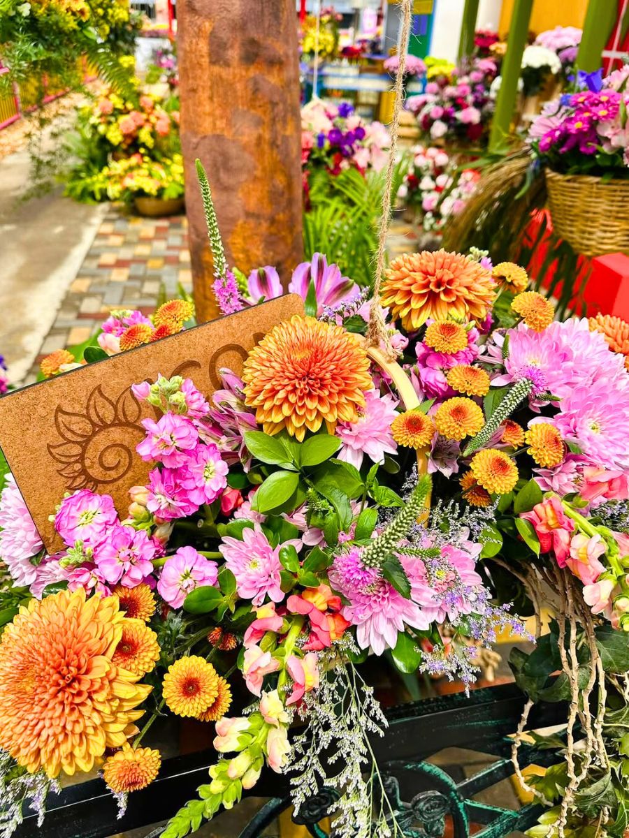 Icon Selections chrysanthemums