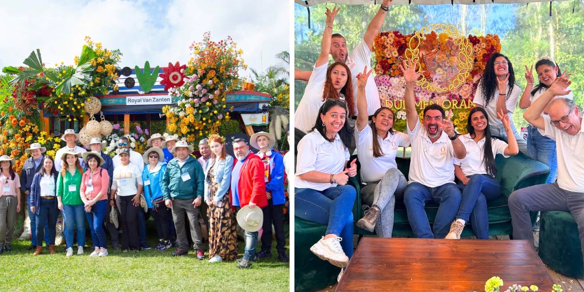 Royal Van Zanten and Dummen Orange at Chrysanthemum Week