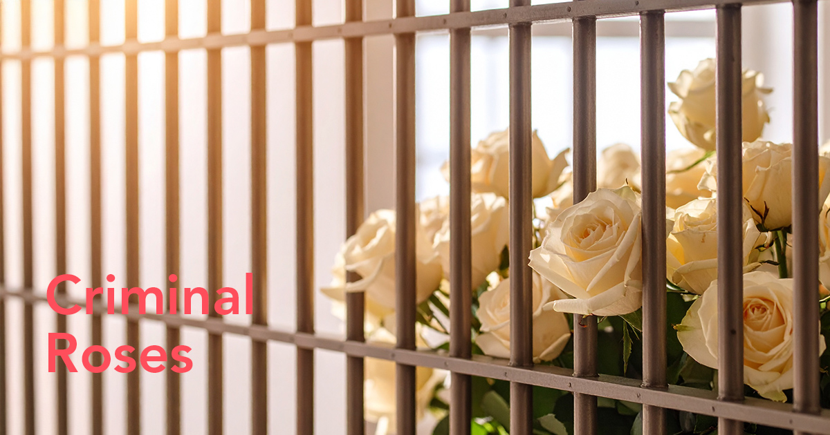 Illegal roses