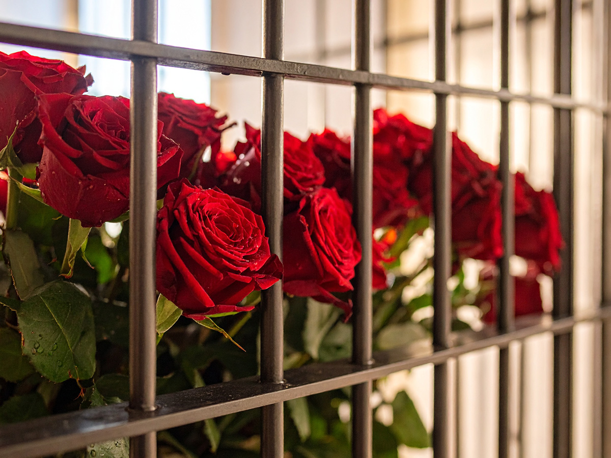 Red roses in prison